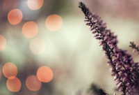 ​女生的qq个性签名，qq性签名大全女生(63句)