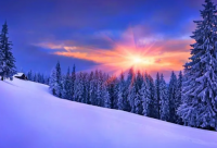 ​父爱如山作文