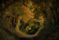 ​朋友拍了拍我的搞笑后缀