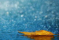 ​英雄联盟有意思的段子，lol搞笑段子(22句)