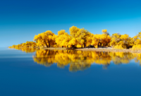 ​情侣个性名称(50个)