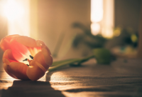 ​清澈的小河像什么又像什么二年级(汇总17句)