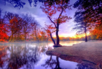 ​关于美与丑的话剧【汇总】