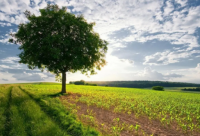 ​关于三国有关的歇后语有哪些，有关三国歇后语大全(51句)