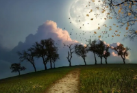 ​礼貌退出工作群的告别语 离职退群的感谢话语