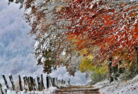 ​用喜欢这个词写一个夸张句,用喜欢造一个夸张句(合集)