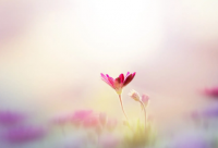 ​2024幼儿园中班开学寄语【推荐】