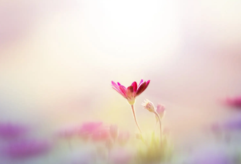 1717480157372913.png image.png