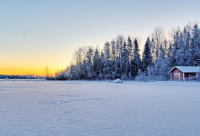 ​怎样晒幸福又低调又好女生，怎样晒幸福又低调又好(20句)