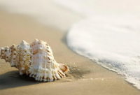 ​搞笑的自动回复qq，QQ自动回复搞笑(58句)