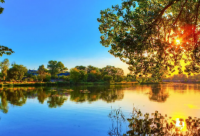 ​情人节红包封面短语(汇总45句)