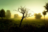 ​关于缅怀革命先烈的感言寄语 清明节缅怀先烈寄语