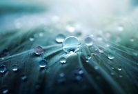 ​母亲节图片配图,母亲节快乐图片大全简约(集锦)