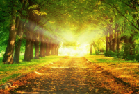 ​独一无二的女英文名(40个)