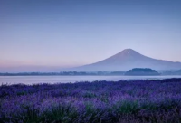 ​关于微信拍一拍有趣文字个性创意(推荐30句)