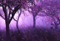 ​百度账号个性用户名,独特好听的百度用户名(集锦)