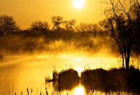 ​保护环境的警告语，注意保护环境的警示语(28句)