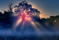 ​22款手写个性签名在线生成器