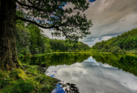 ​短信早上问候语大全,早上好短信问候语大全【集锦12句】