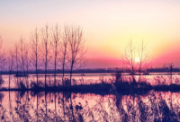 ​二手房招聘信息广告语,二手房广告语大全最新(合集20句)