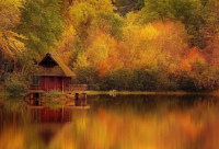 ​2024新年愿望寄语大全