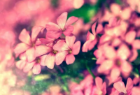 ​旅行社的宣传广告语