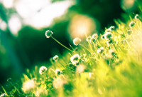 ​商品宣传广告语