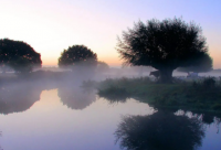 ​关于白露的唯美古诗词(总共27句)