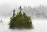 ​河南搞笑骂人方言大全,河南话骂人【汇总23句】