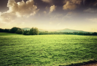 ​邮差弗雷德读后感800字