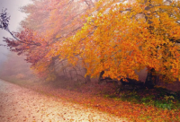 ​QQ炫舞印象，qq炫舞印象大全(30句)