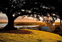 ​洗发水广告语