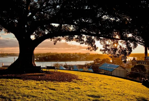 1717493149139633.png image.png