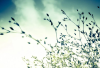 ​100句超温柔微信拍一拍后缀，微信拍一拍可爱搞笑后缀(30句)