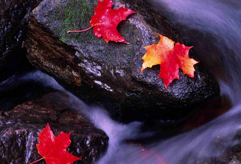 1717493982117308.png image.png