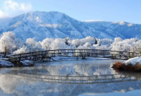 ​百事可乐的广告语