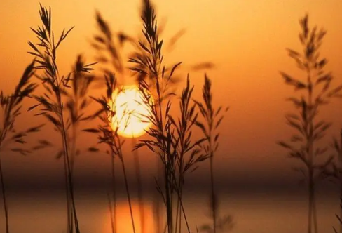 1717494981117623.png image.png