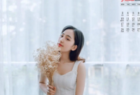 ​带康带张的谐音网名字