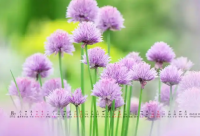 ​简洁的流行爱情句子