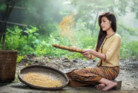 ​不求但求的爱情句子