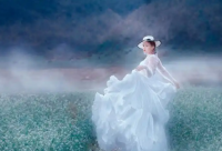 ​爱情短语82句