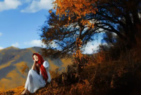 ​对小学孩子的希望和寄语 【对小学孩子的希望和寄语怎么写】