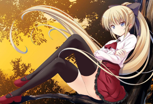 1747812308329365.png image.png