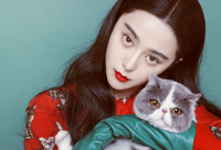 ​对步入社会年轻人的寄语 【给即将进入社会的年轻人】