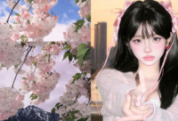 ​520给女朋友的浪漫情话实用