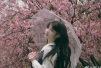 ​赞美女孩子的经典句子