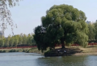 ​发女朋友照片的文案