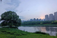 ​给喜欢的女生表白的话