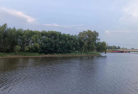 ​感动女朋友哭的情话