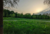 ​生日祝福前女友的句子简短